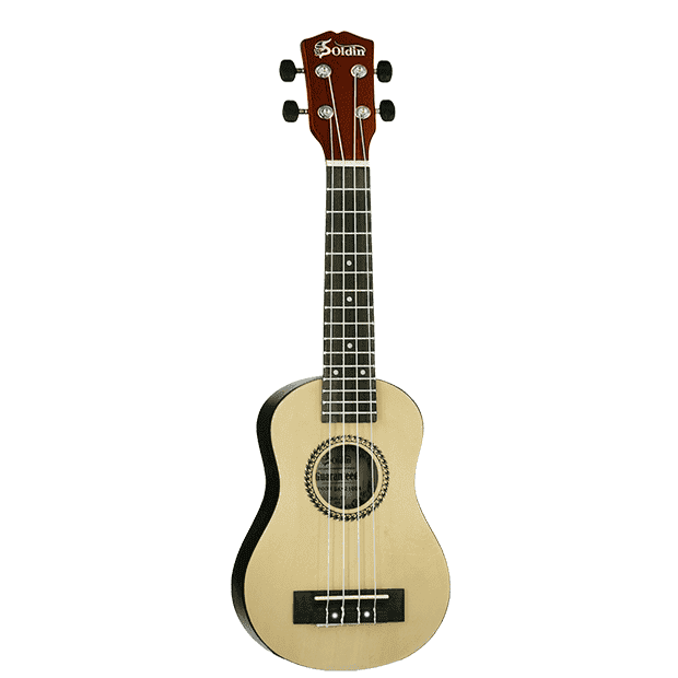 SK-100-NS.png SK-100-NS.png