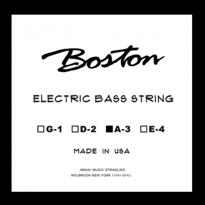 BASS-3.png