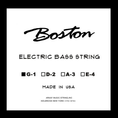 BASS-1.png